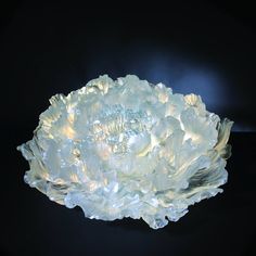 a large white flower sitting on top of a black table next to a light bulb