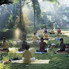 a group of people sitting on top of a lush green field next to each other