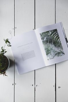 an open book sitting on top of a white table next to a potted plant