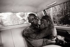 a man sitting in the back seat of a car with a monkey on his lap