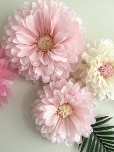 three pink and white flowers are on the wall