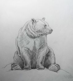 a drawing of a bear sitting on the ground