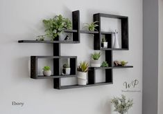 a wall mounted shelf filled with potted plants on top of it's sides