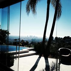 a palm tree casts a shadow on the glass walls of a modern home overlooking a cityscape