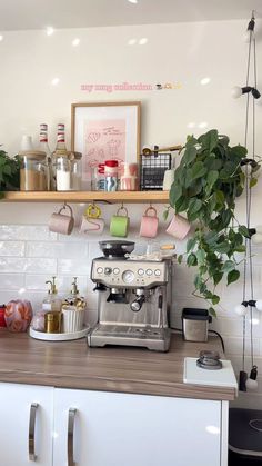 a coffee maker sitting on top of a kitchen counter next to a potted plant