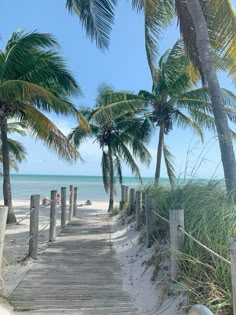 a wooden walkway leading to the beach with palm trees