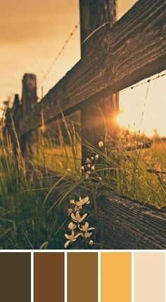 a wooden fence with grass and flowers in the foreground, on which there is a color swatch