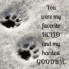 two paw prints in the snow with an inspirational quote above them that says, you were my favorite hero and my hardest goodbye