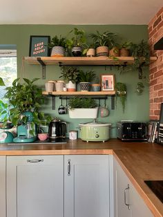 a kitchen with green walls and gray cabinets, plants on the shelves above the sink