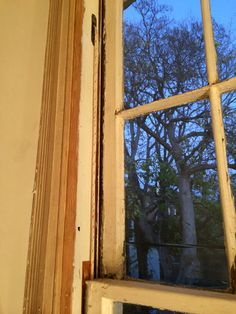 an open window with the view of trees outside