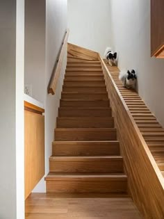 two cats are sitting on the stairs next to each other