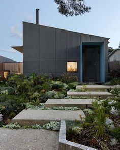 an outdoor garden area with concrete steps leading up to a building