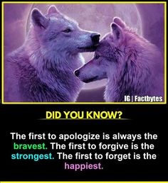 two wolfs facing each other with the caption did you know?