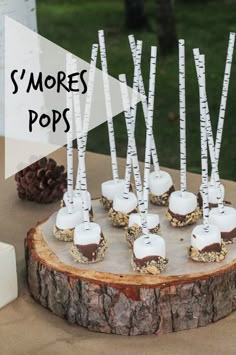 there are many small marshmallows on the tree stump with white sticks sticking out of them