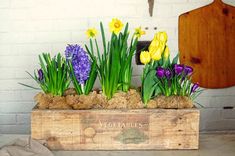 some flowers that are sitting in a wooden box