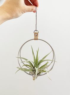 a person holding a plant in a circular metal holder with a ring hanging from it