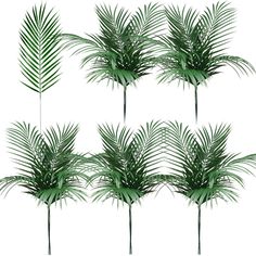 PRICES MAY VARY. Package Includes: a pack of 60 artificial palm leaves is enough for your daily use and replacement needs, the large tropical leaves decor is about 8 x 25 inches/ 20 x 63 cm, and the leaf is about 15 inches/ 37 cm in length, suitable and proper, the large quantity of palm leaves can be served as centerpieces, vase fillers, tropical bouquets, etc. Quality Material: the tropical simulated palm leaf is made of plastic material with clear lines on the surface, which looks very realis Tropical Leaf Decor, Safari Decor, Safari Wedding, Garden Centerpiece, Jungle Safari Party, Safari Decorations, Wedding Party Flowers, Palm Tree Leaves