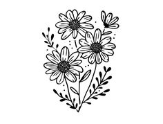 three daisies with leaves and flowers drawn in black ink on a white paper background