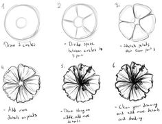 how to draw a flower step by step with pictures for beginners and advanced students