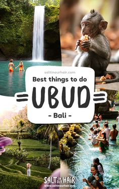 a collage of photos with people and animals in the water, including a waterfall