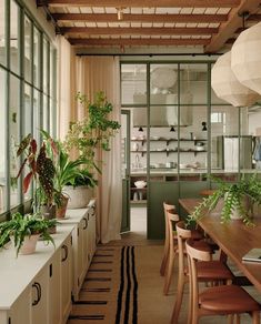 a dining room with lots of plants on the windowsills and wooden tables in front of them