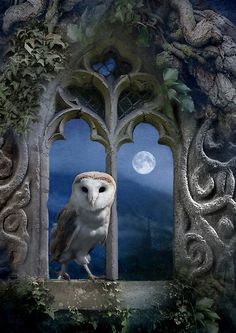 an owl sitting on top of a window sill in front of a full moon