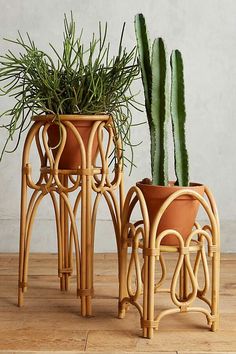 two planters sitting next to each other on top of a wooden floor