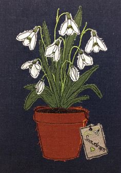 a potted plant with white flowers and a tag on the ground next to it