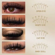 Different lash styles, which one do u prefer? Lashes Styles, Eyelash Tech, Lash Ideas, Weddings Dresses