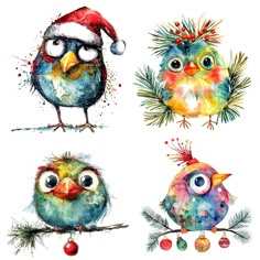 four colorful birds with christmas hats on their heads, one is wearing a santa hat