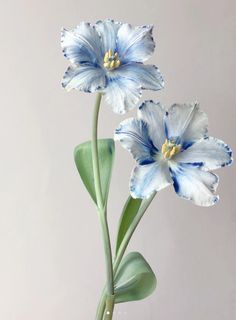 two blue and white flowers in a vase