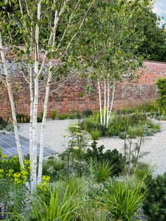 an outdoor garden with lots of trees and plants around it, surrounded by brick walls