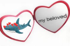 two heart shaped magnets with a shark and i love my beloved message on them