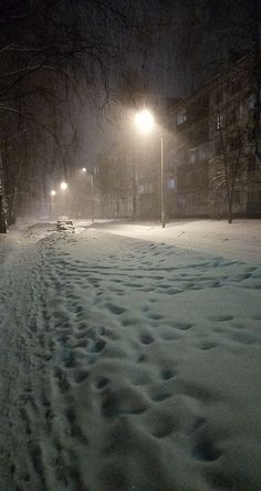 the snow is covering the ground and street lights are shining in the dark night sky