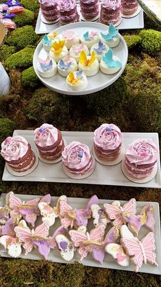 there are many different cakes and cupcakes on the table with moss growing around them