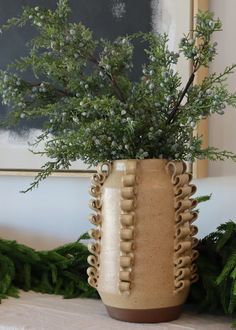 a potted plant sitting on top of a table next to other plants and greenery