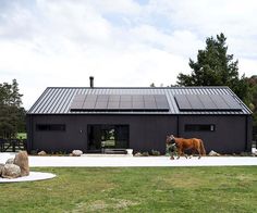 a horse is walking in front of a black house with solar panels on the roof