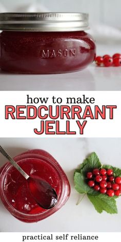 how to make red curran jelly with text overlay that reads, how to make red curran jelly practical self reliance