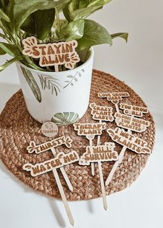 several wooden signs sitting on top of a mat next to a potted plant with leaves