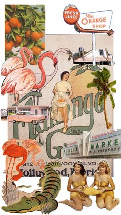 Old Florida style Florida Old Money Aesthetic, Old Florida Themed Party, Vintage Caribbean Aesthetic, Retro Florida Aesthetic, Florida Living Aesthetic, Old Miami Aesthetic, Florida Doodles, Florida Themed Party, Old Florida Aesthetic