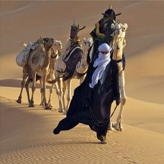 a group of people riding on the backs of camels in the sand dunes,