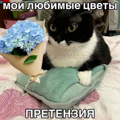 a black and white cat sitting on top of a bed next to a bouquet of flowers