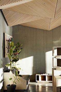 a potted plant sitting on top of a wooden table next to a book shelf