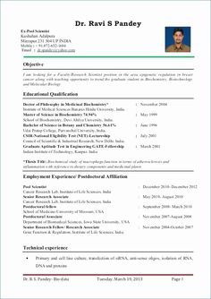 a professional resume with no work experience