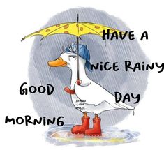 a cartoon duck holding an umbrella with the words have a nice rainy day on it