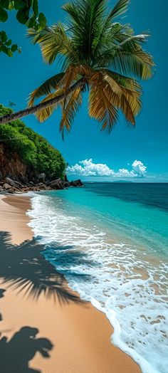 the shadow of a palm tree is cast on the sandy beach with clear blue water