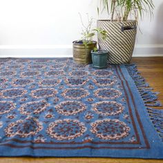 a blue rug on the floor with potted plants next to it and two planters