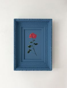 a blue frame with a single red rose in it on a white wall next to a black cat