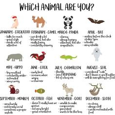 an animal poster with the words which animal are you?