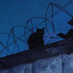 two black cats sitting on top of a wall next to a barb wire fence